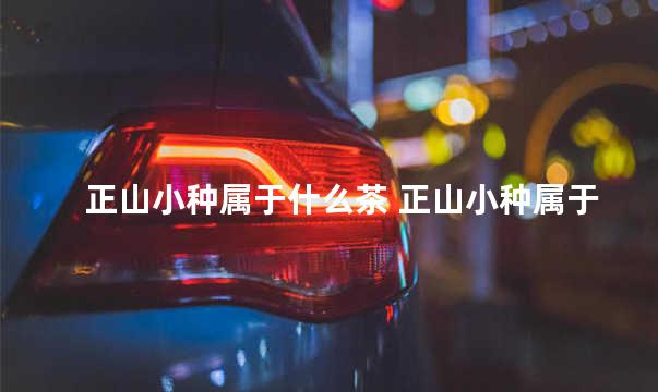 正山小种属于什么茶 正山小种属于什么茶有什么功效